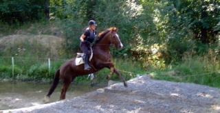  Horse riding around the center 